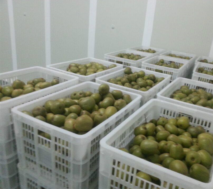 氣調(diào)保鮮庫加濕器