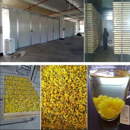 金絲皇菊烘干除濕機(jī)