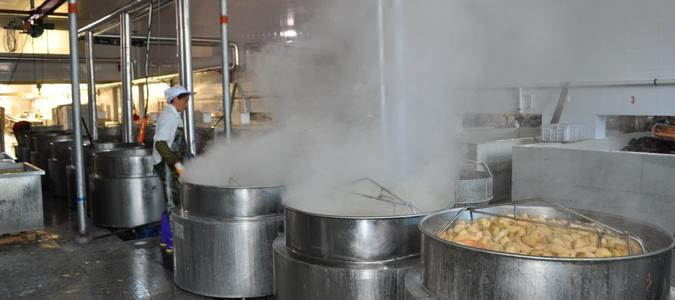 吊裝蒸汽去除機