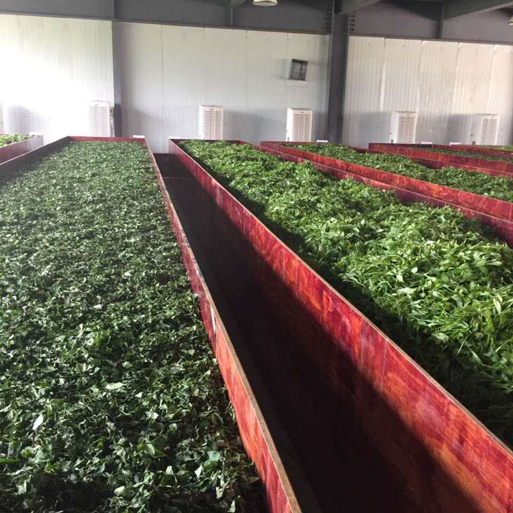 茶葉萎凋除濕機