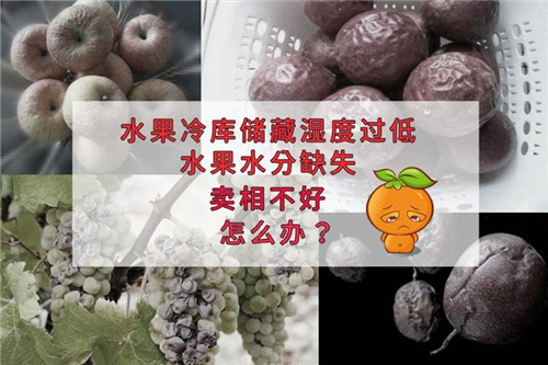 氣調(diào)保鮮庫(kù)加濕機(jī)