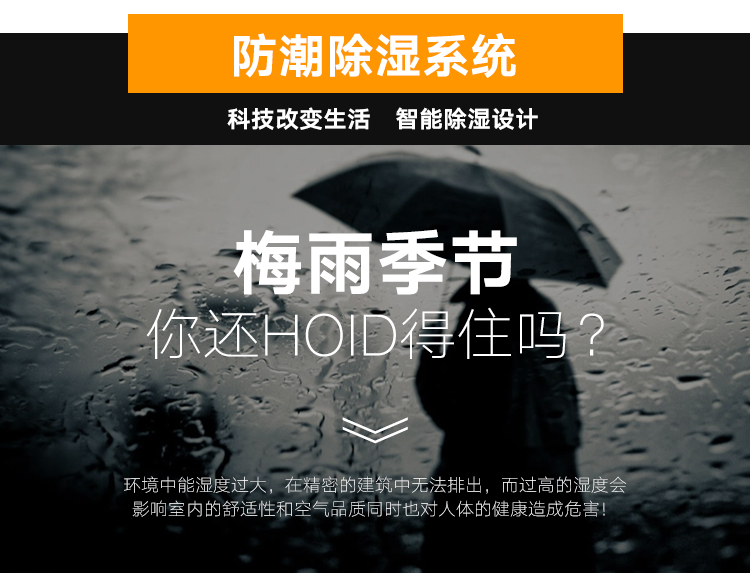 掛壁式除濕機(jī)