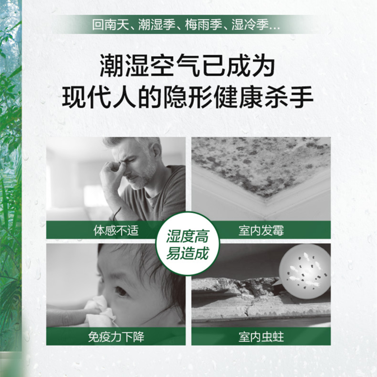 除濕新風(fēng)機