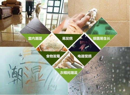 潮濕的危害.jpg