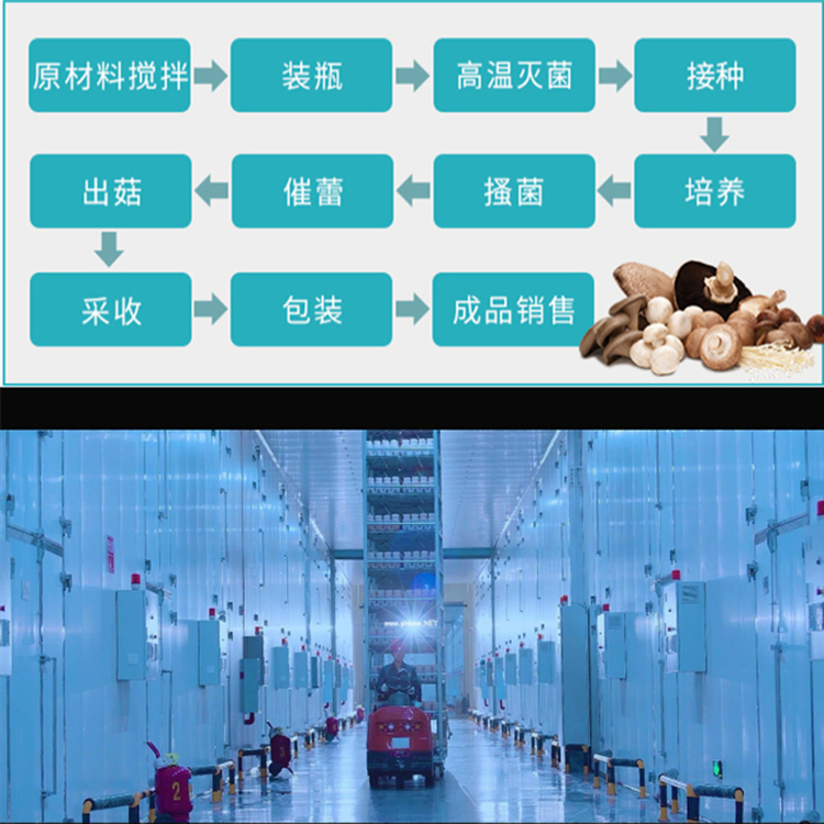 菌菇房加濕機(jī)