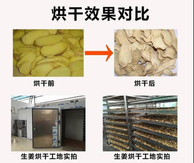 干姜片烘干除濕機(jī).png
