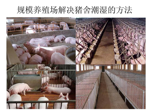養(yǎng)殖場(chǎng)防潮除濕機(jī)