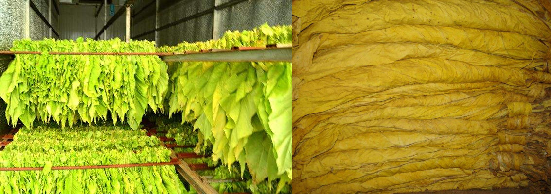 煙葉烘干機(jī)