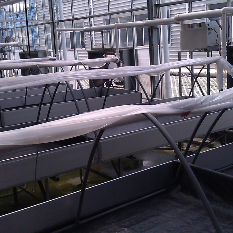 蠶室補(bǔ)濕器