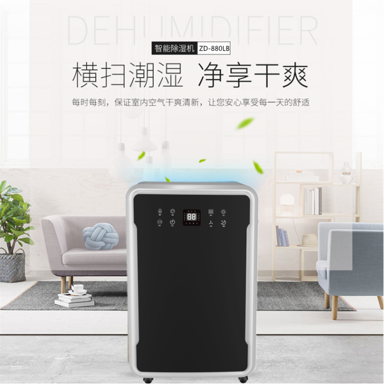 別墅除濕機(jī).jpg