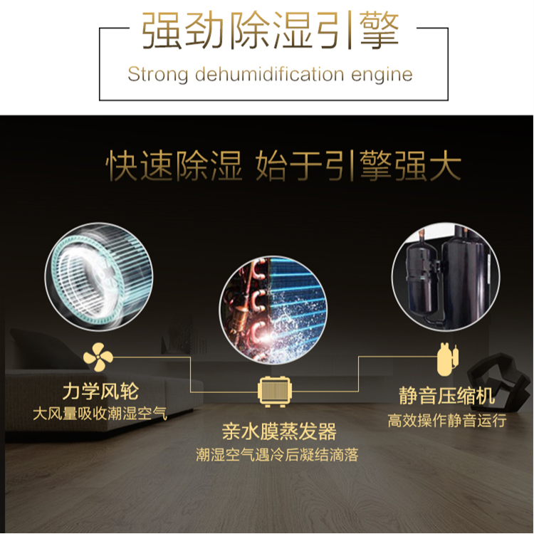 別墅除濕機(jī)