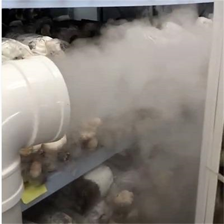 蘑菇大棚加濕器