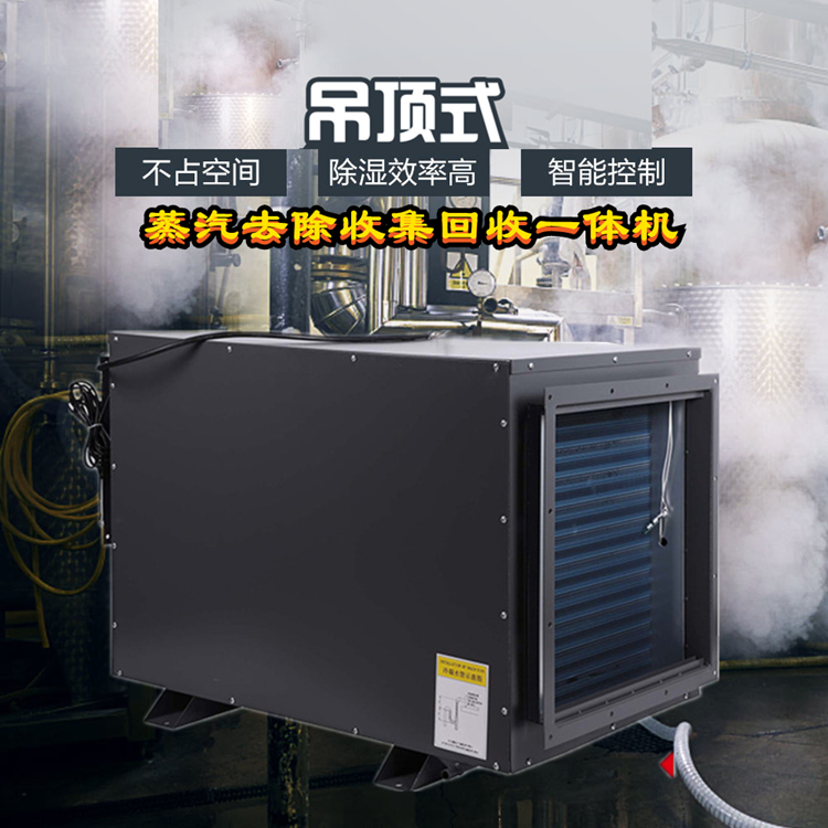 智能蒸汽去除機(jī)