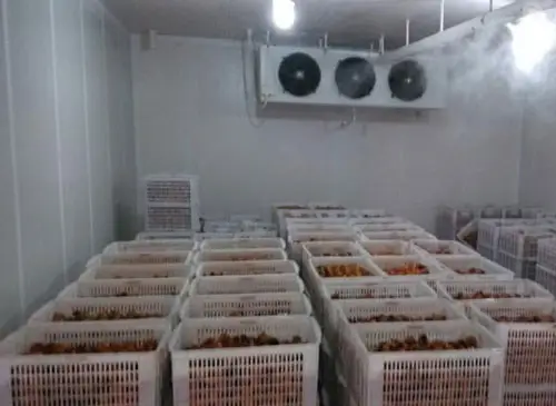 冷庫保鮮加濕系統(tǒng)