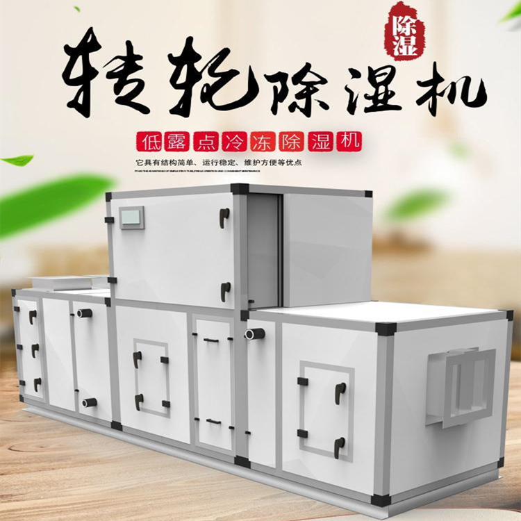 實驗室轉(zhuǎn)輪除濕機組