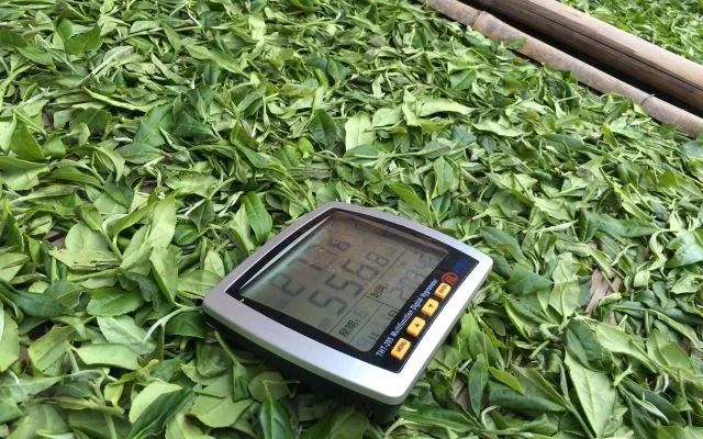 茶葉萎凋室除濕機