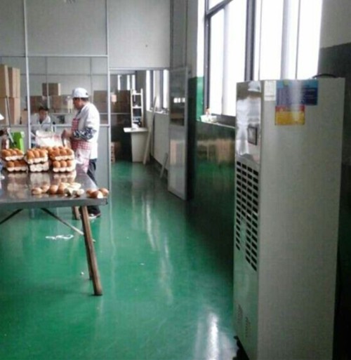 食品車間去濕機(jī)