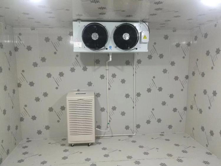 冷庫低溫除濕機(jī)
