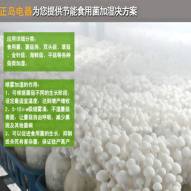 食用菌大棚加濕系統(tǒng)