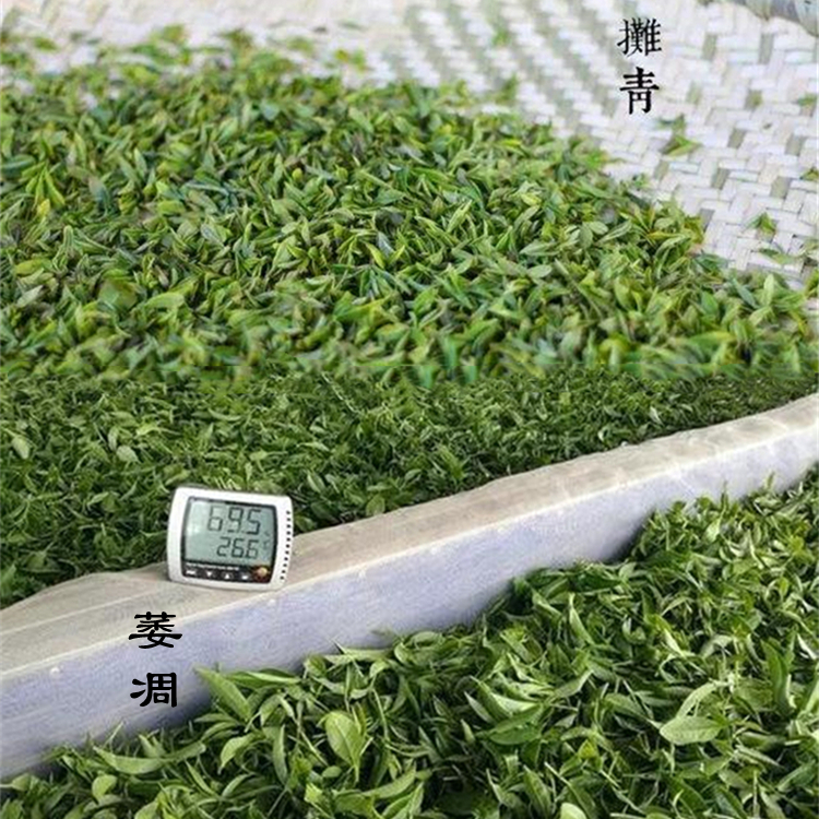 茶葉如何快速除濕？