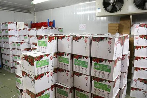 荔枝保鮮庫(kù)噴霧加濕機(jī)