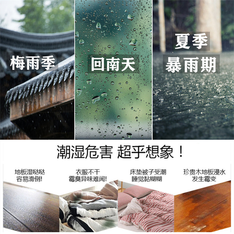 別墅除濕機(jī)