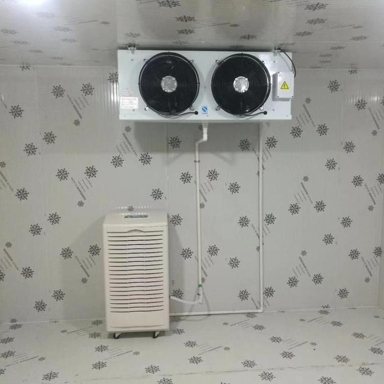 小型冷庫除濕機