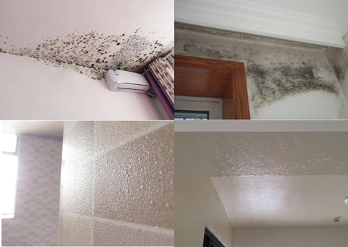 1722394753100611642.jpg 發(fā)霉返潮.jpg