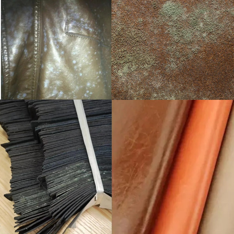 皮具廠倉庫除濕機 皮具廠倉庫除濕機