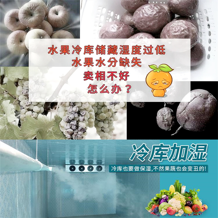 水果保鮮庫(kù)加濕機(jī)