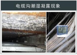 配電房除濕機(jī)